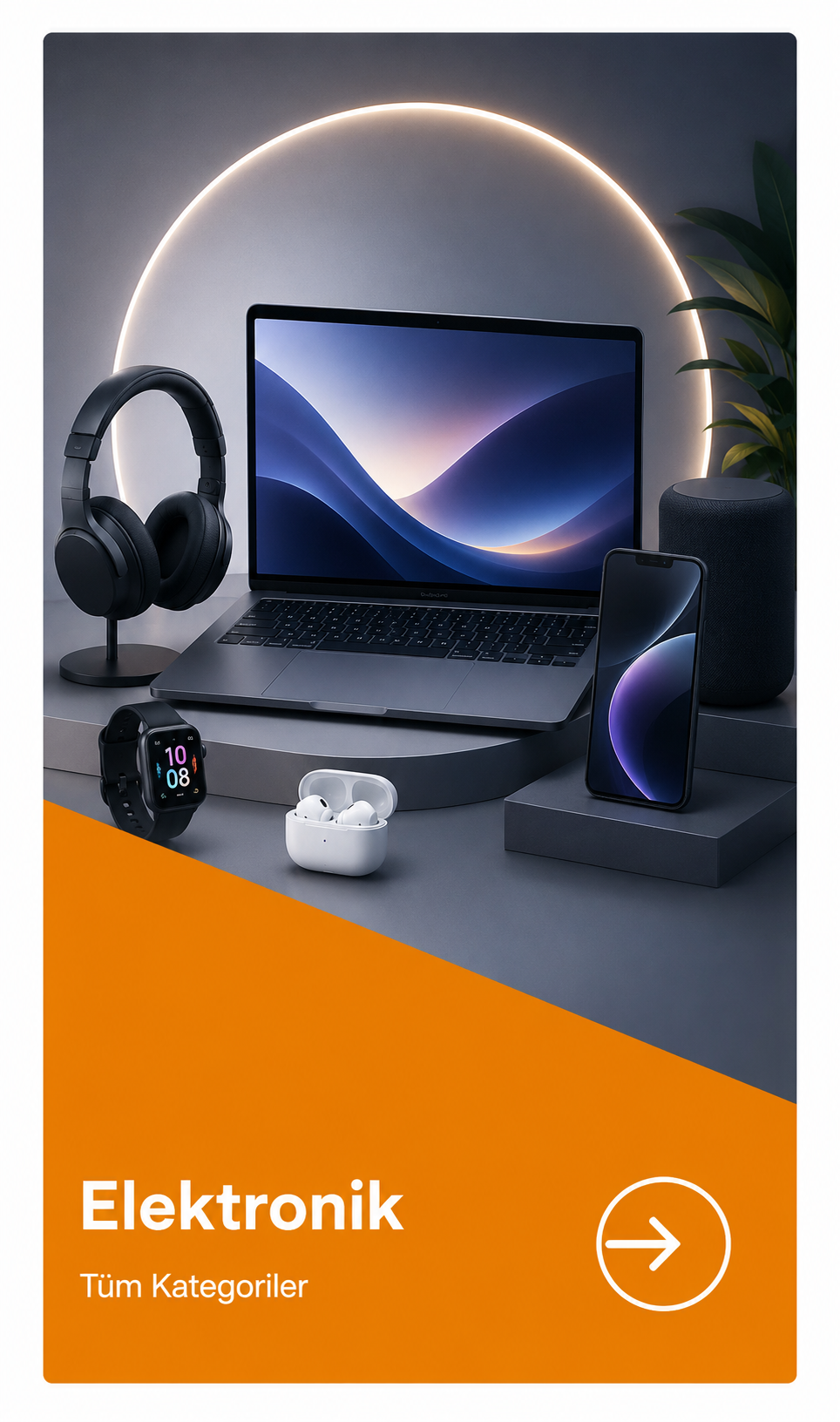 Elektronik